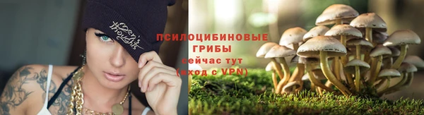 каннабис Заводоуковск