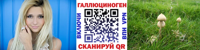Купить закладки  Дедовск  Псилоцибиновые грибы Cubensis 